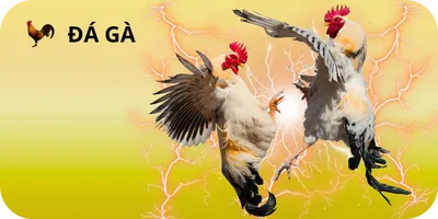 đá gà 123Win